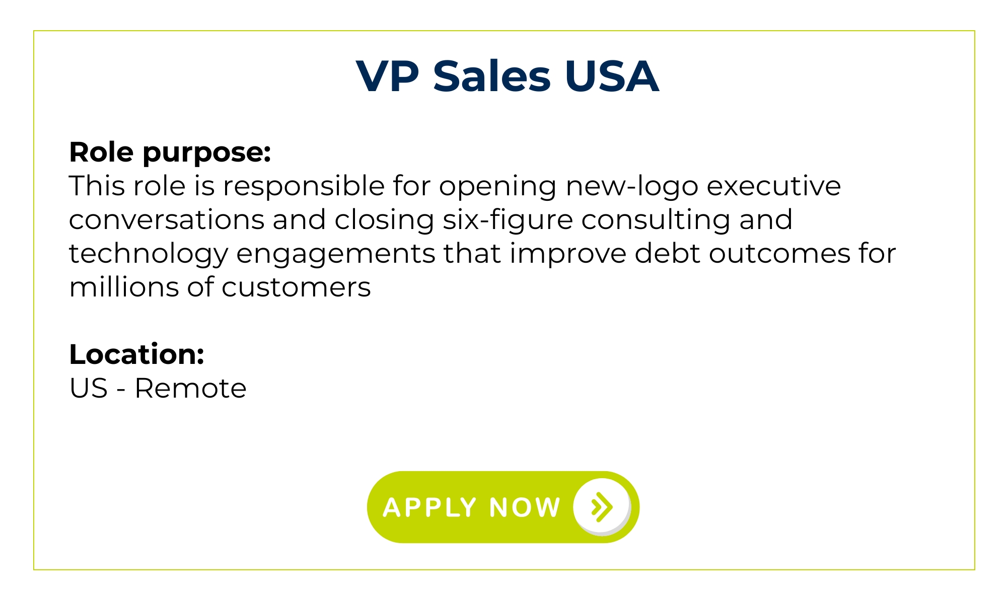 VP Sales USA